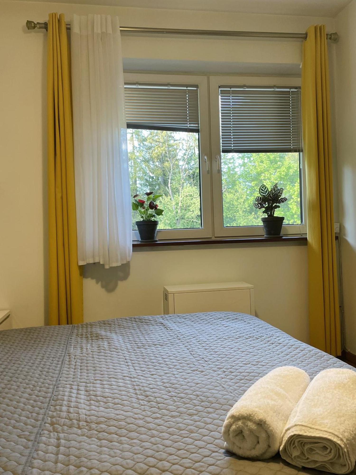 Appartement Apartament Idylla à Zakopane Extérieur photo